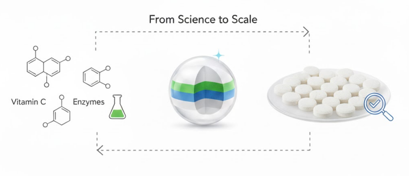 Toothpaste Tablet Manufacturing Process From Formulation To Finished Product