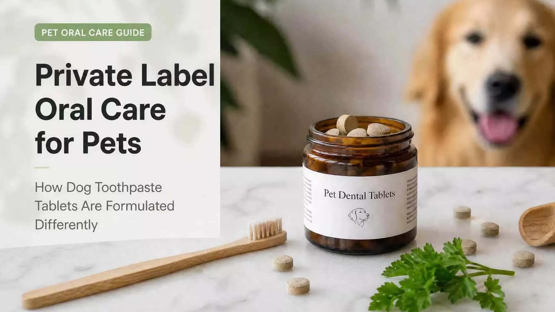 Private Label Oral Care for Pets: How Dog Toothpaste Tablets Are Formulated Differently